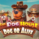 The Dog House